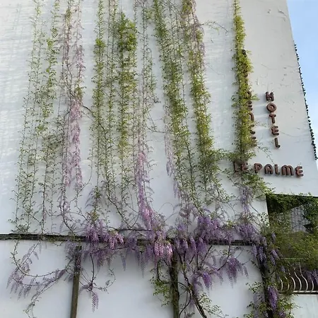 Le Palme 