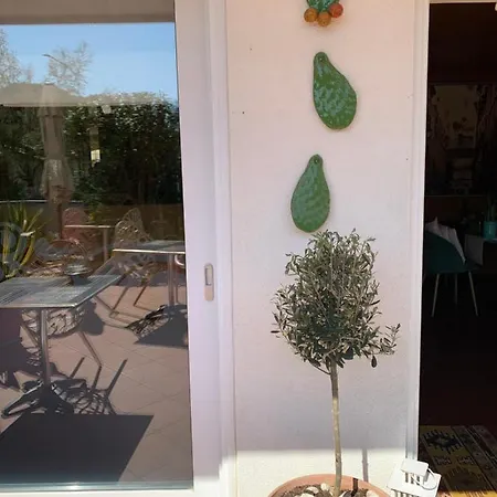Le Palme