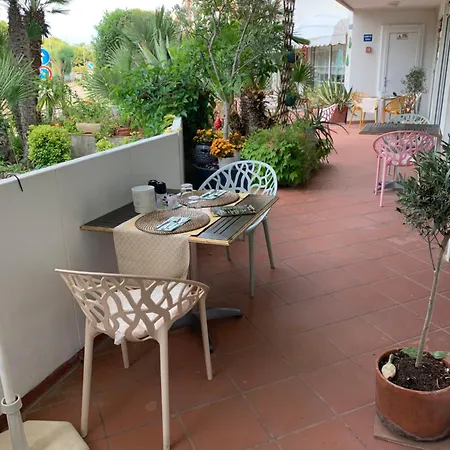Le Palme Grado