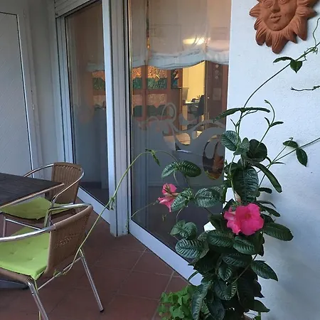 Le Palme