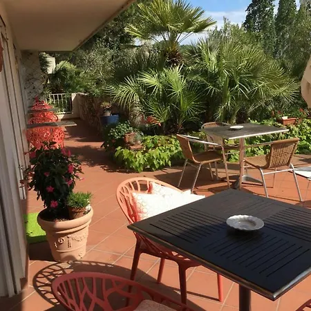 Le Palme 